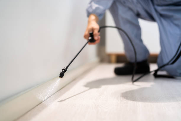 Bed Bug Pre-Treatment Preparation Assessment in Spencerville